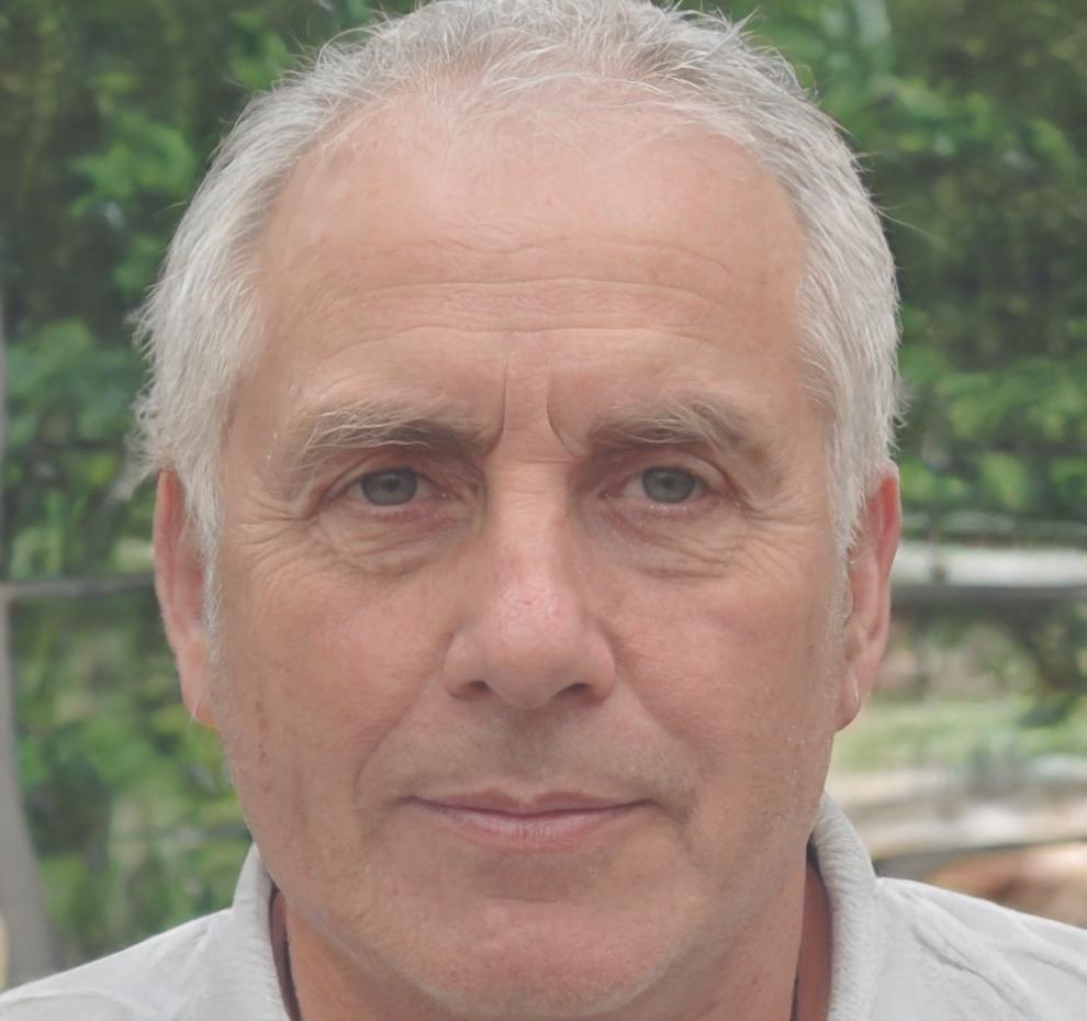 Profesor Radu Mihalache
